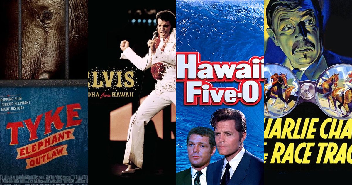Stories Set in Honolulu — top stories